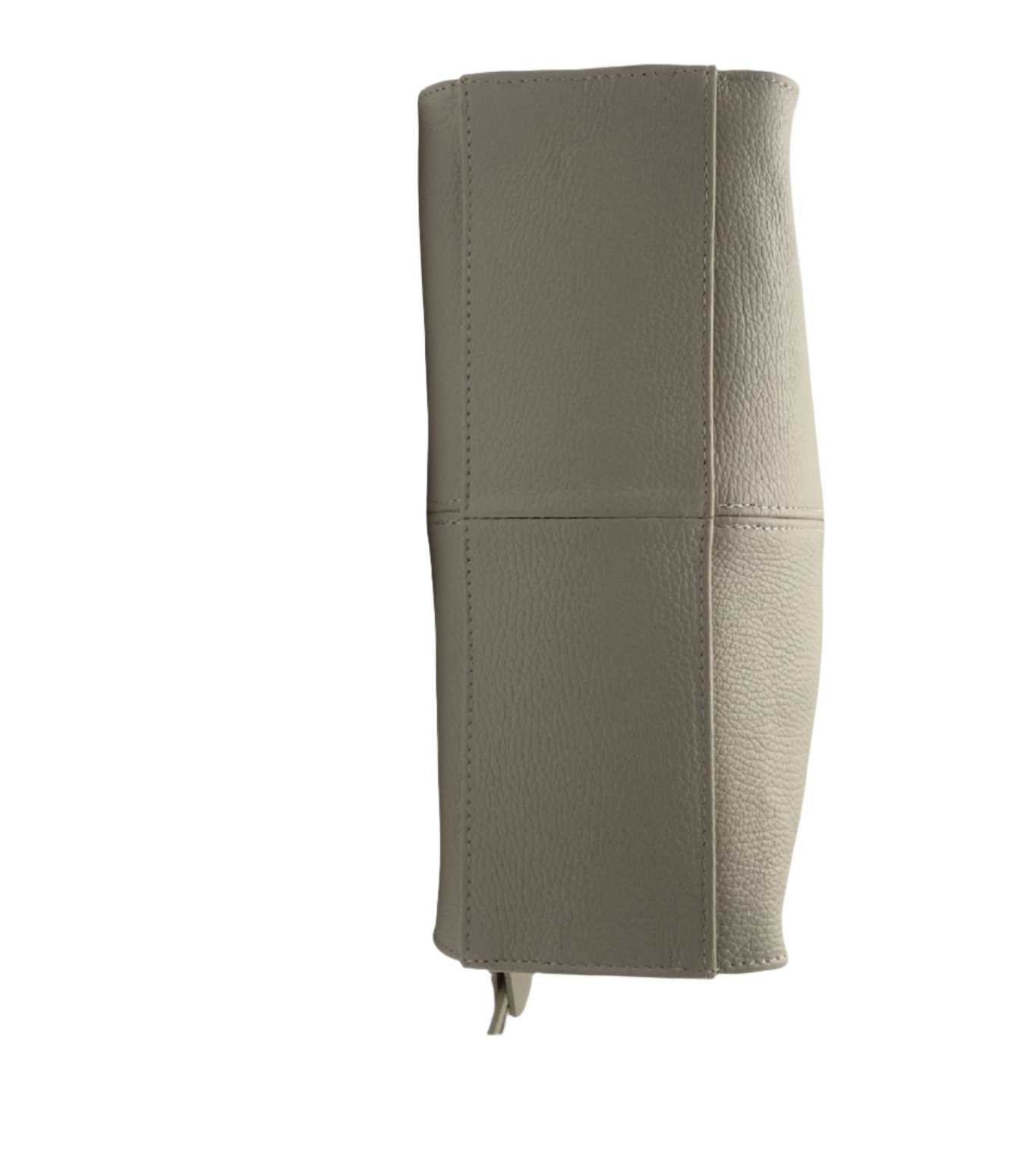 Karissa Leather Hobo Bag - Beige