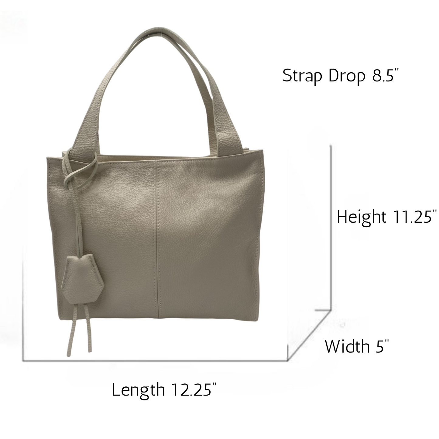 Karissa Leather Hobo Bag - Beige
